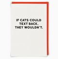 Cats - Greeting Card