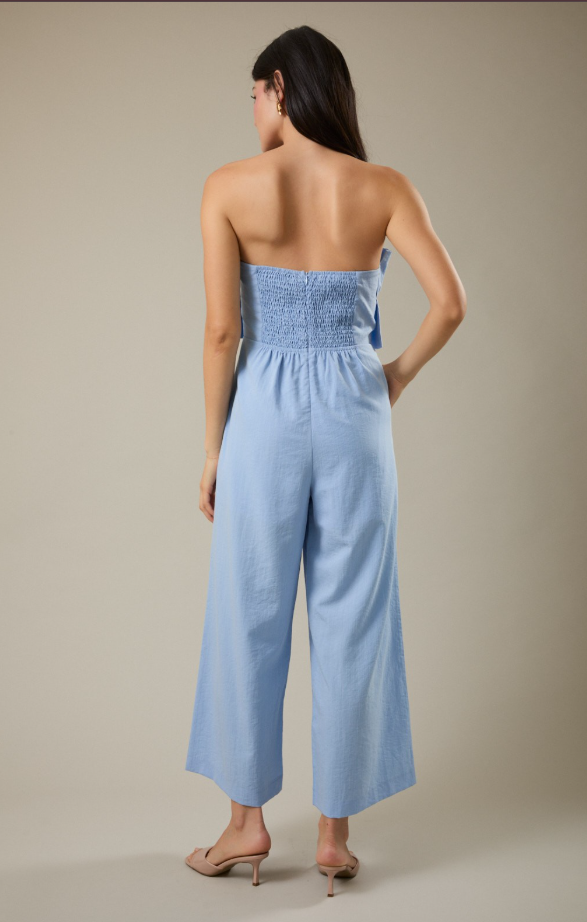 Light Blue Ruffle Bodice Jumpsuit