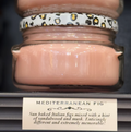 11oz Mediterranean Fig Candle