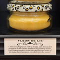3.4oz Fleur de Lis Candle