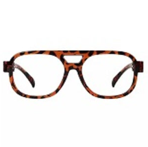 Tortoise Vintage Style Glasses