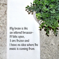My Brain is Like an Internet Browser Kitchen Towel