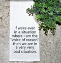 Voice Of Reason Kitchen Towel